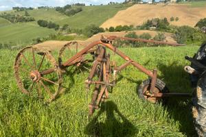 Ranghinatore a pettine