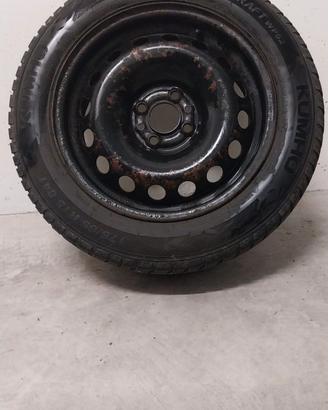 Gomme panda (no spedizione)