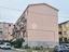 Immagine 12