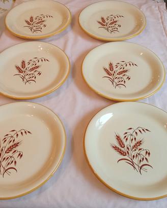 6 Piatti Vintage Anni 80 Pasta Ambra-Serie Primula