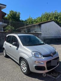 Fiat panda benzina gpl