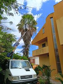 Piattaforma aerea cestello