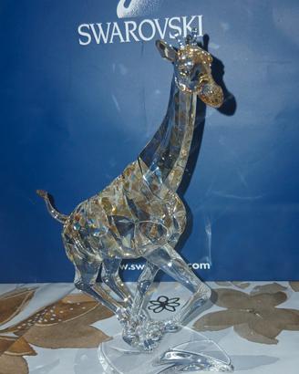 Svarosky. GIRAFFA 