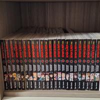 Manga Demon Slayer 1-23 serie completa
