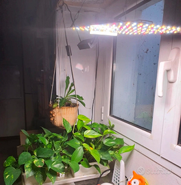 Plafoniera lampada solare LED per piante o rettili