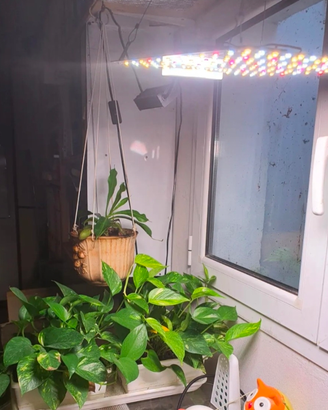 Plafoniera lampada solare LED per piante o rettili
