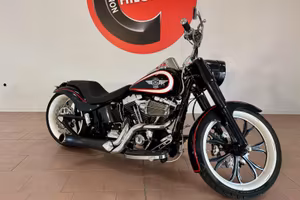 Harley-davidson Fat Boy CASTOMIZZATA