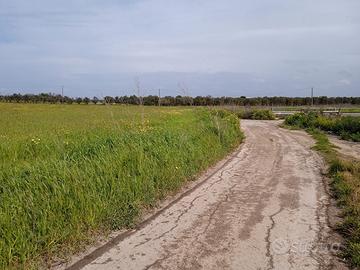 Terreno agricolo (Rose)