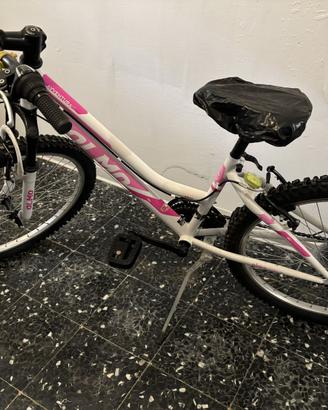 MTB ragazzina Olmo Avventura 24"