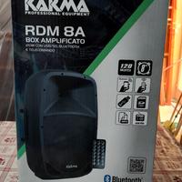 Cassa Bluetooth KARMA RDM-8A