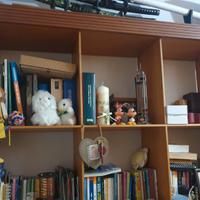 LIBRERIA PASSEPARTOUT CAPPELLINI