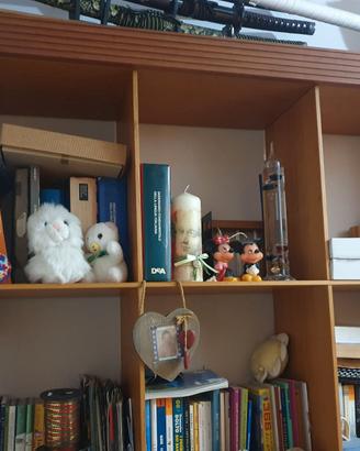 LIBRERIA PASSEPARTOUT CAPPELLINI
