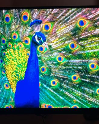 Monitor MSI 28’’ pollici 4K UHD HDR IPS10