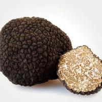 Tartufo scorzone 