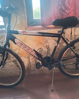 occasion bici