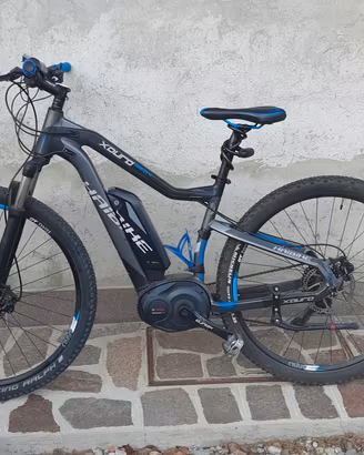 ebike