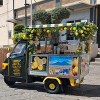 Piaggio Altro modello