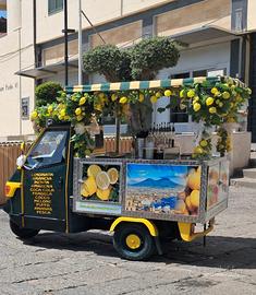 Piaggio Altro modello