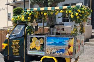 Piaggio Altro modello