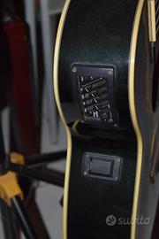 chitarra acustica/elettrica Ibanez