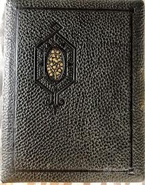 ANTICO ALBUM FOTOGRAFICO DI FINE 1800 , 12 PAGINE