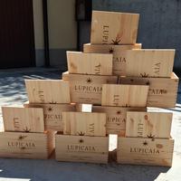 cassette vino vuote LUPICAIA