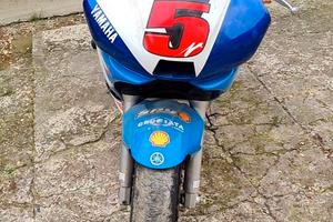 Carene da pista yamaha r6