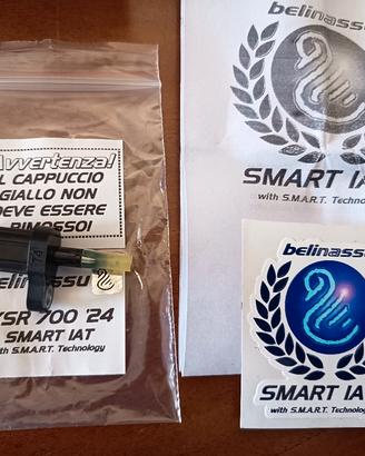 Sonda IAT e ammortizzatore Ohlins perMT 07 XSR 700