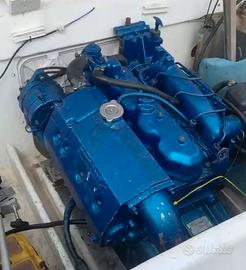 NANNI Diesel 40 hp modello 4.195