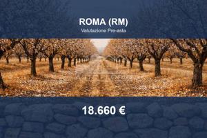 Immobile in asta di 4160 m² a Roma