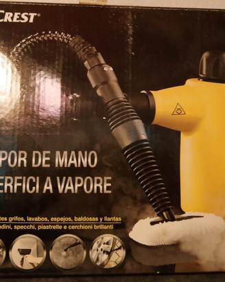 pulitori a vapore