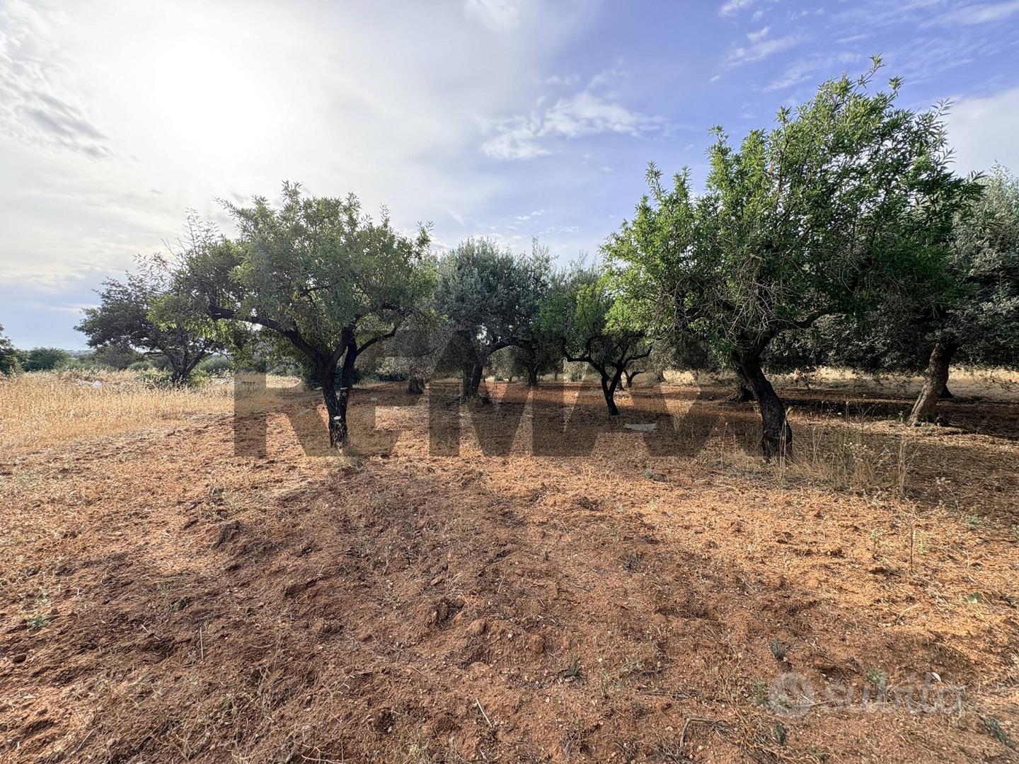 Terreno - Comiso - Vista 2