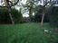 Immagine 26