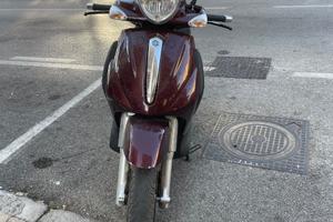 Beverly 500