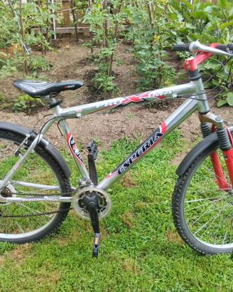 Mountain Bike Esperia Proxima