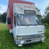 Iveco 65/12 turbo zeta