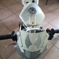 Minimoto Polini