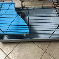 Gabbia per porcellino  d”india