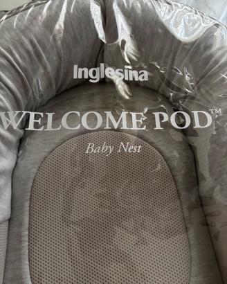 Welcome prof inglesina