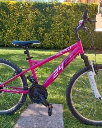 Mountain bike misura ruote 24
