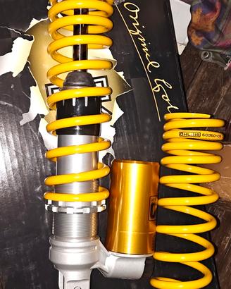 Minarelli Polini Evolution Malossi mhr team 