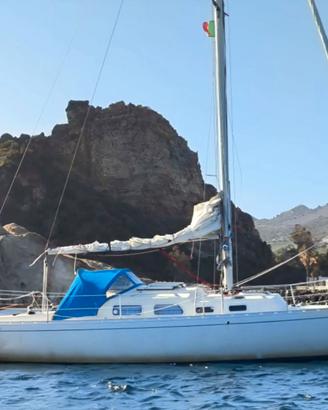 1979 Shipman 28 barca a vela