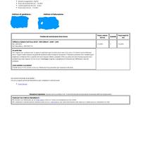 Soffiatore /aspira foglie a batterie