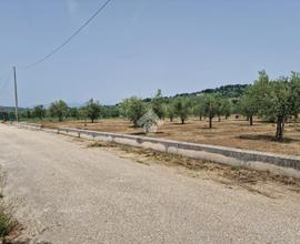 TER. AGRICOLO A SANT'AGATA DE' GOTI