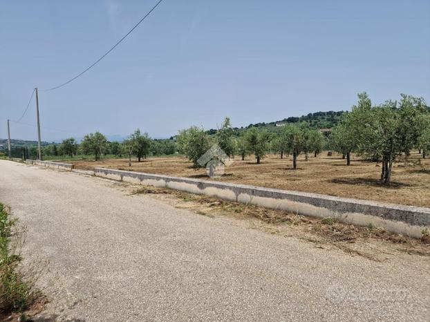 TER. AGRICOLO A SANT'AGATA DE' GOTI