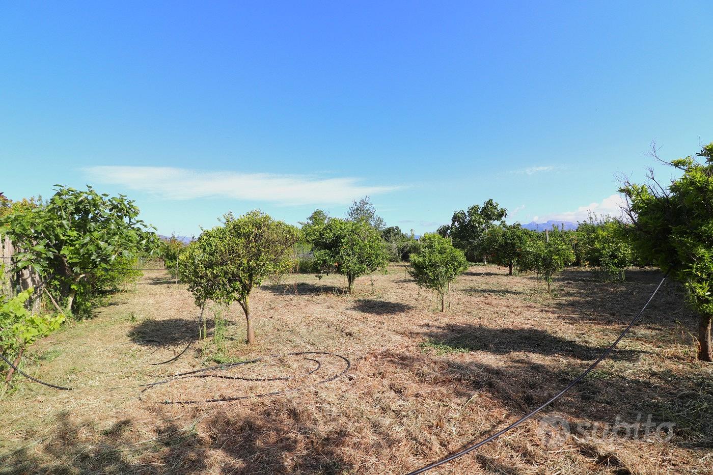 Terreno Agricolo Tortolì [Cod. rif 3232350VRG] - View 5