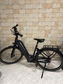 Gazelle Chamonix C5 HMS