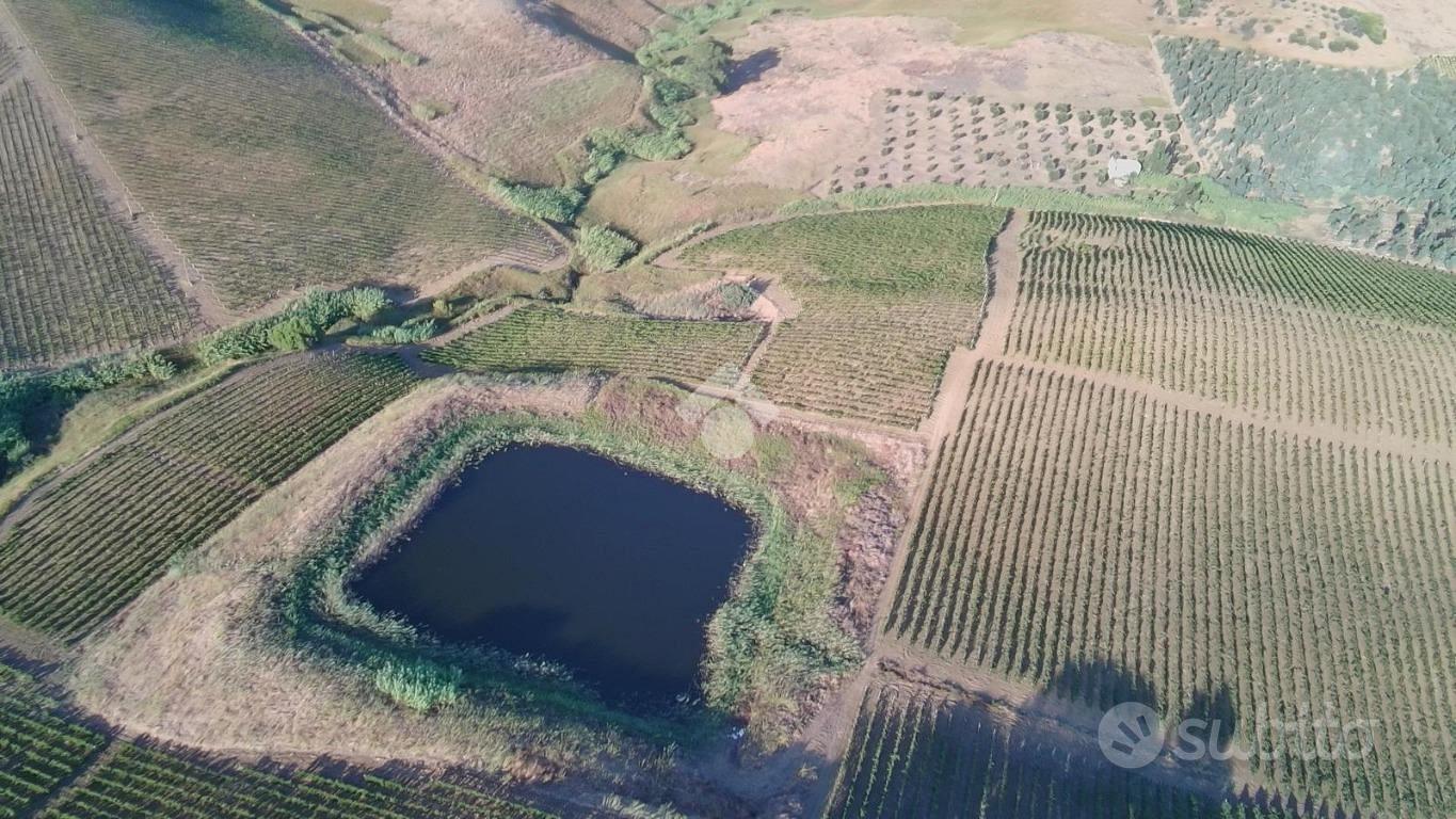 TERRENO A ALCAMO - Vista 5