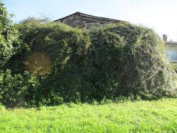 Rustico / Casale di 80 m² con 2 locali a Capannori