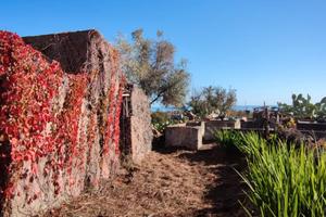 Suggestiva Casetta Con Splendida Vista Mare